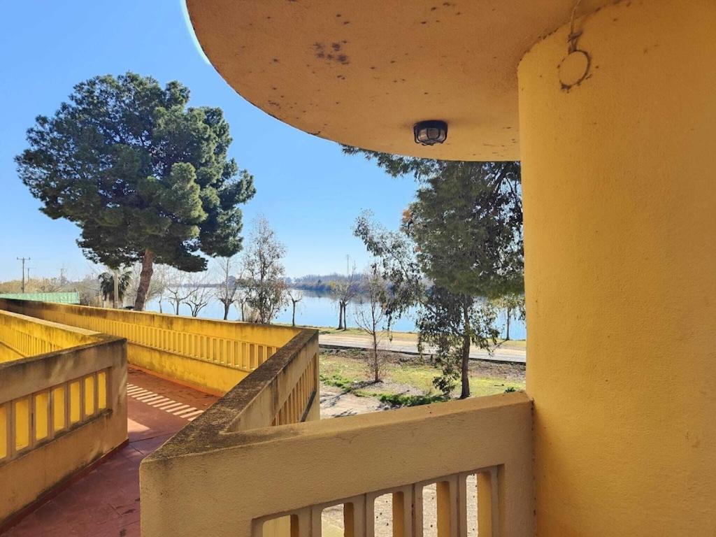 Superbe Appartement Terrasse Entierement Renove Au Bord De L'Ebre Deltebre Exteriör bild