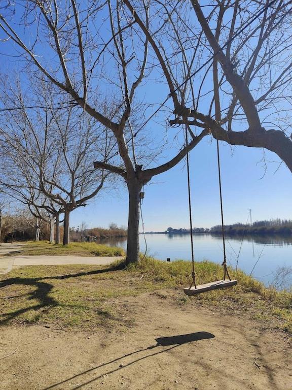 Superbe Appartement Terrasse Entierement Renove Au Bord De L'Ebre Deltebre Exteriör bild