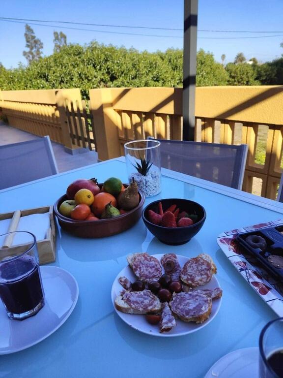 Superbe Appartement Terrasse Entierement Renove Au Bord De L'Ebre Deltebre Exteriör bild